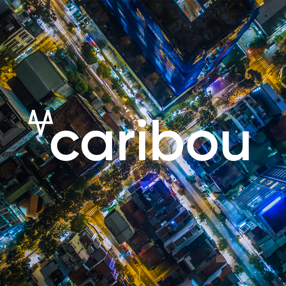 /assets/images/caribou_07.jpg