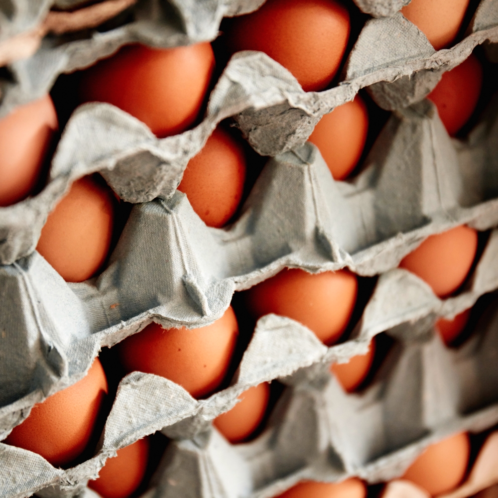 /assets/images/chooks-at-the-rooke_06.jpg